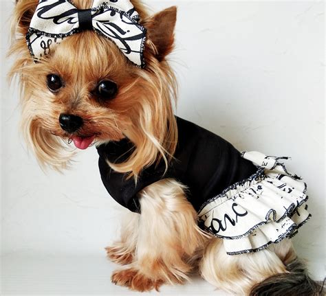 designer clothes for small dogs.